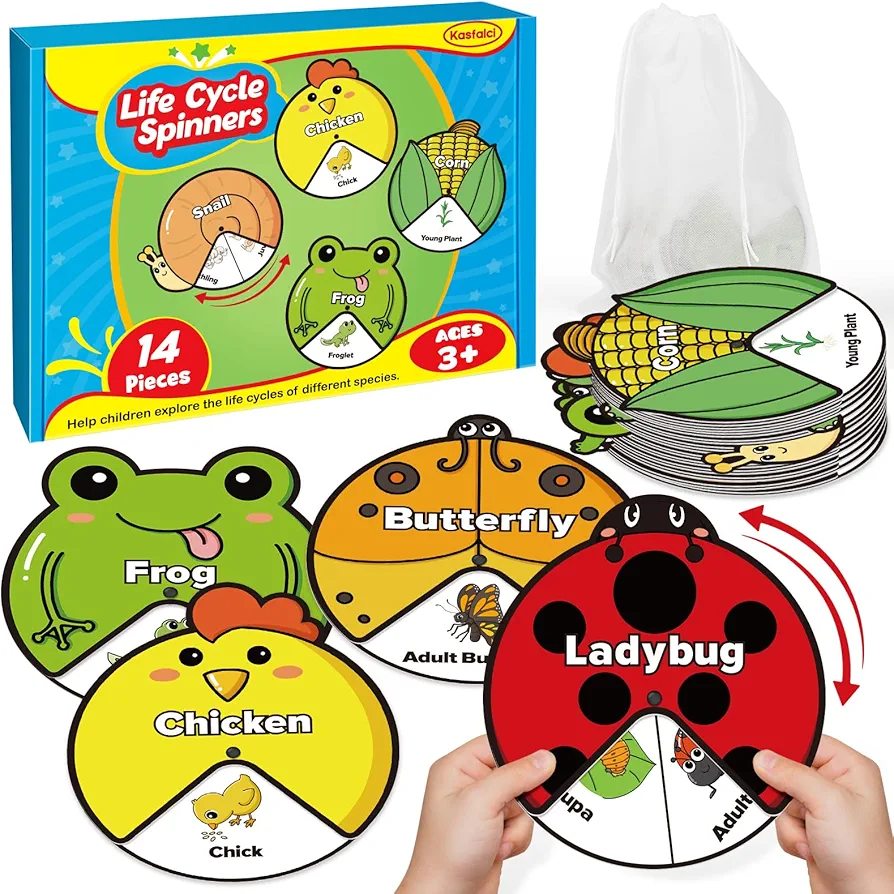 Life Cycle Toys for Kids,Animal Plant Insect Bug Ladybug Butterfly Tadpole to Frog Kit,Montessori Learning & Education Toys,Preschool Science Learning Activities for Toddlers,Board Card Games