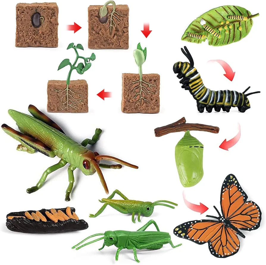 12PCS Life Cycle Figurines Toy Set of Butterflies Grasshoppers and Plants Figures Preschool Toys Kit Science and Educational Auxiliary Toys Cake Toppers Party Favors for Kids Toddlers Boys and Girs