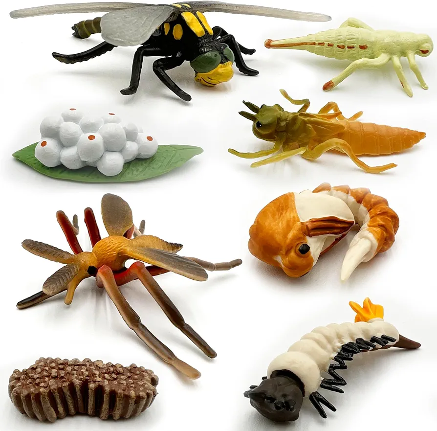 Gemini & Genius Life Cycle of Mosquito and Dragonfly Figurines, Insect Growth Diary Action Figures, Super Fun for Learning Gifts, Party Favors, Treasure Box Prizes, Goodie Bag Fillers, Family Fun