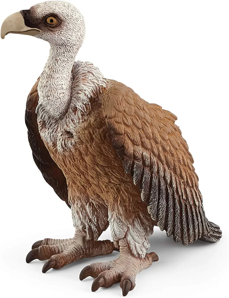 Schleich Wild Life, Animal Figurine, Animal Toys for Boys and Girls 3-8 years old, Vulture, Ages 3+