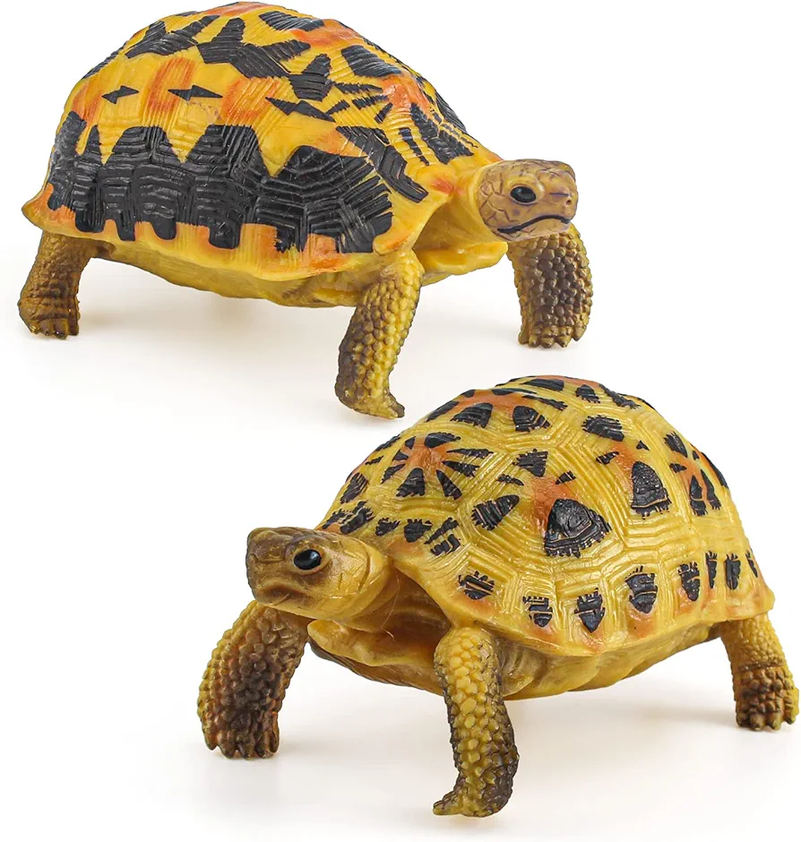 Fantarea Tortoise Wildlife Animal Model Playsets 2 PCS Indian Star Tortoise Figurines Garden Ornament Education Cognitive Toy for Boys Girls Kids