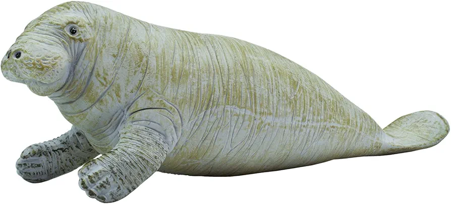 Safari Ltd. Manatee Figurine - Detailed 6" Plastic Model Figure - Fun Educational Play Toy for Boys, Girls & Kids Ages 3+