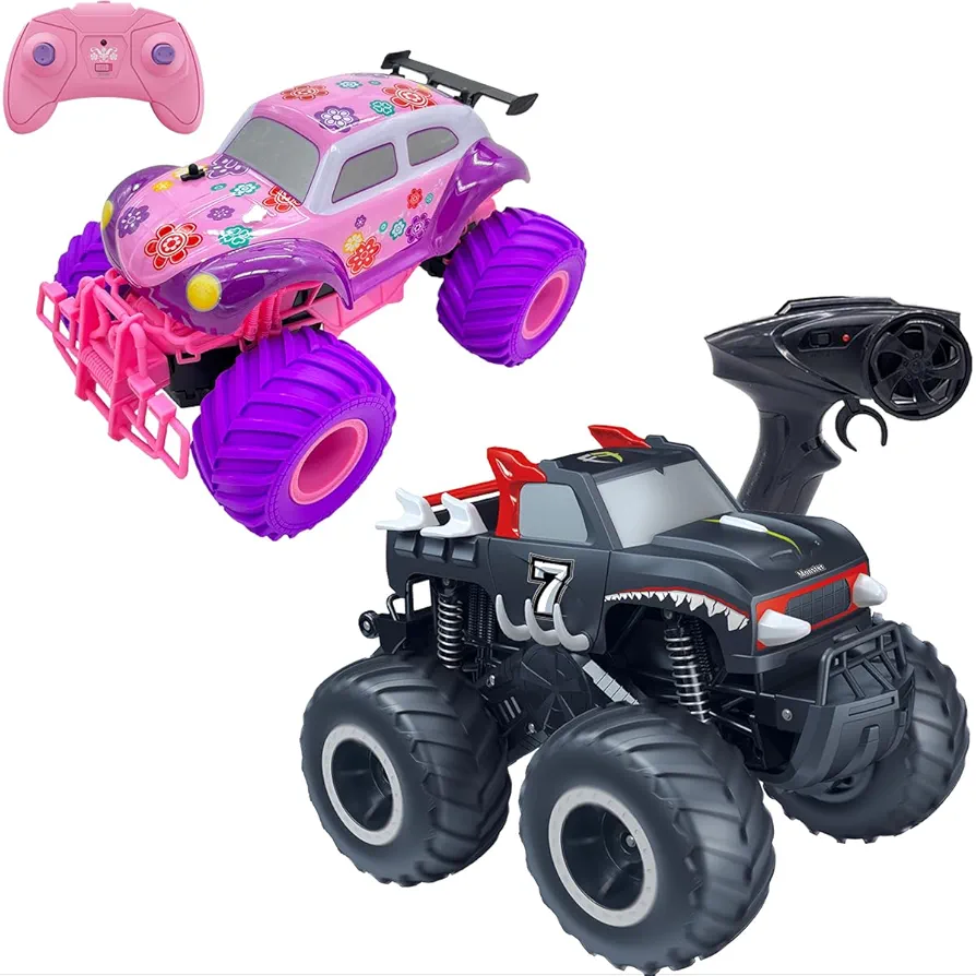 Threeking 1 pc Waterproofing 1:16 Pick-up RC Car Truck and 1 pc Pink Rc Car Toys for Kids Boys Girls Ages 6+