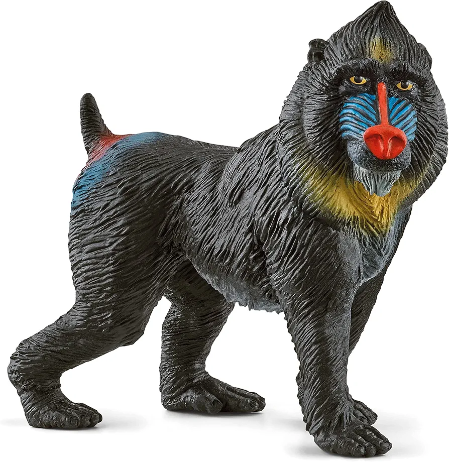 Schleich Wild Life Realistic Mandrill Monkey Figurine - Authentic and Highly Detailed Wild Animal Toy, Durable for Education and Fun Play for Kids, Perfect for Boys and Girls, Ages 3+