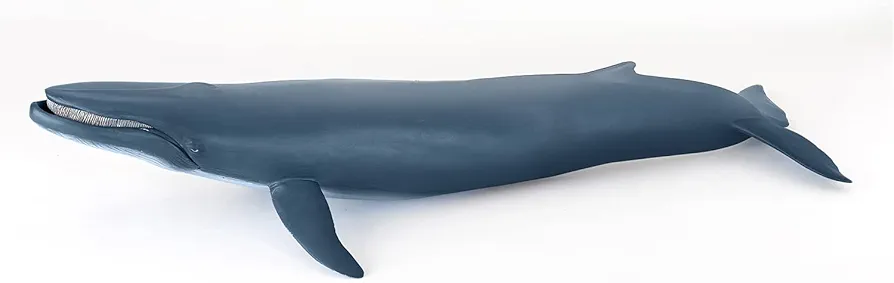 Papo - Hand-Painted - Figurine - Marine Life - Blue Whale Figure-56037 - Collectible - for Children - Suitable for Boys and Girls - from 3 Years Old