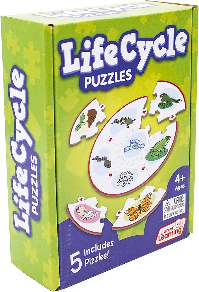 Junior Learning Life Cycle Science Learning Puzzles