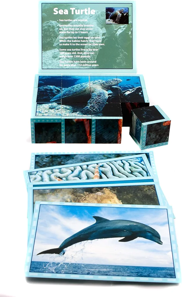 Stages Learning Real Picture Sea Life Wooden Cube Language Builder Preschool Puzzle (12 Piece)