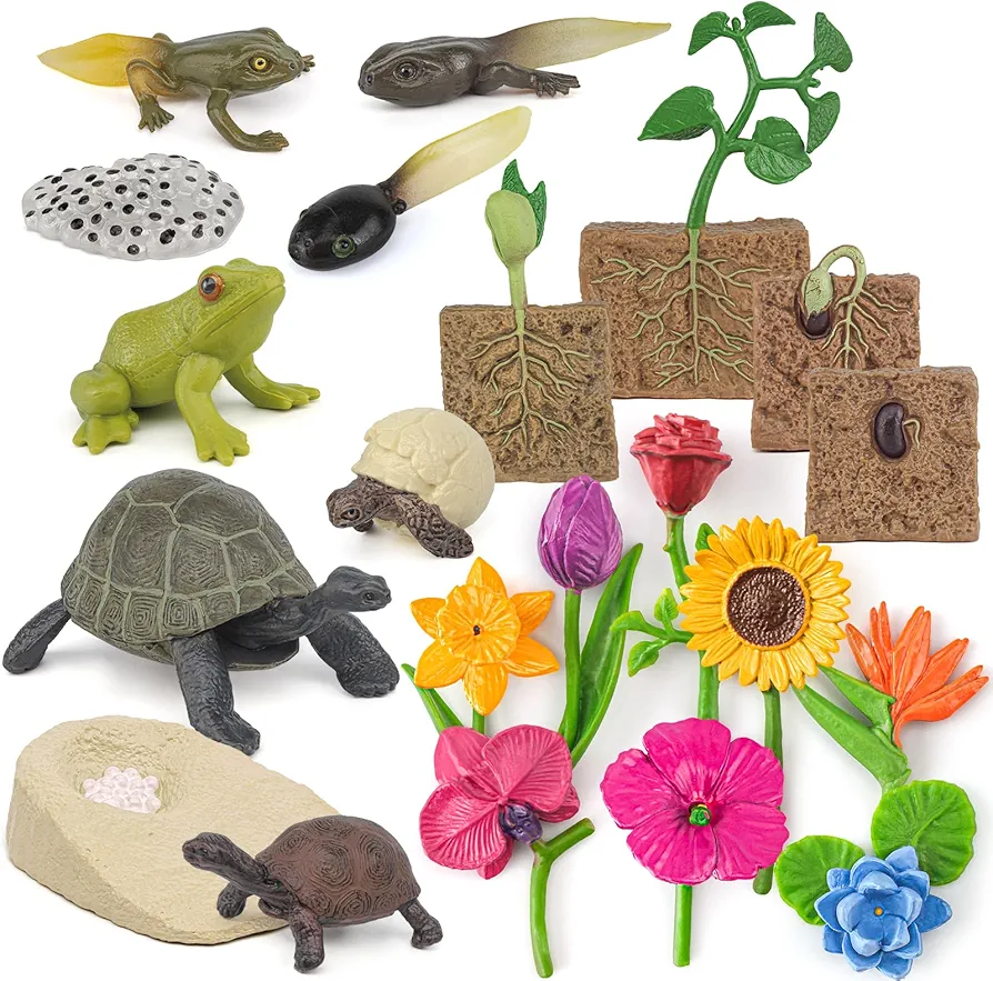 Atralo Service Life Cycle Model Figure Playsets 21 PCS Plant Frog Tortoise Growth Cycle Plastic Flower Toys Desktop Decoration Collection Party Favors Toys for Boys Girls Kids