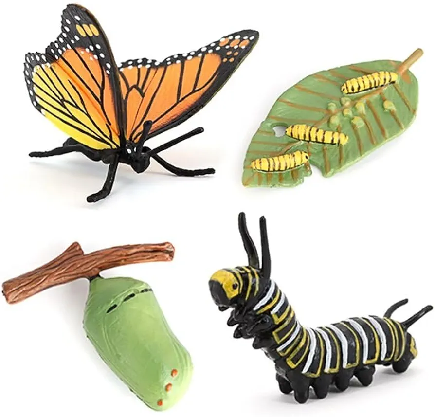 Butterfly Growth Cycle, Animal Growth Cycle Biological Model, Growth Stage Lifelike Butterfly Life Cycle Model Set for Kids Education Insect Themed Party Favors