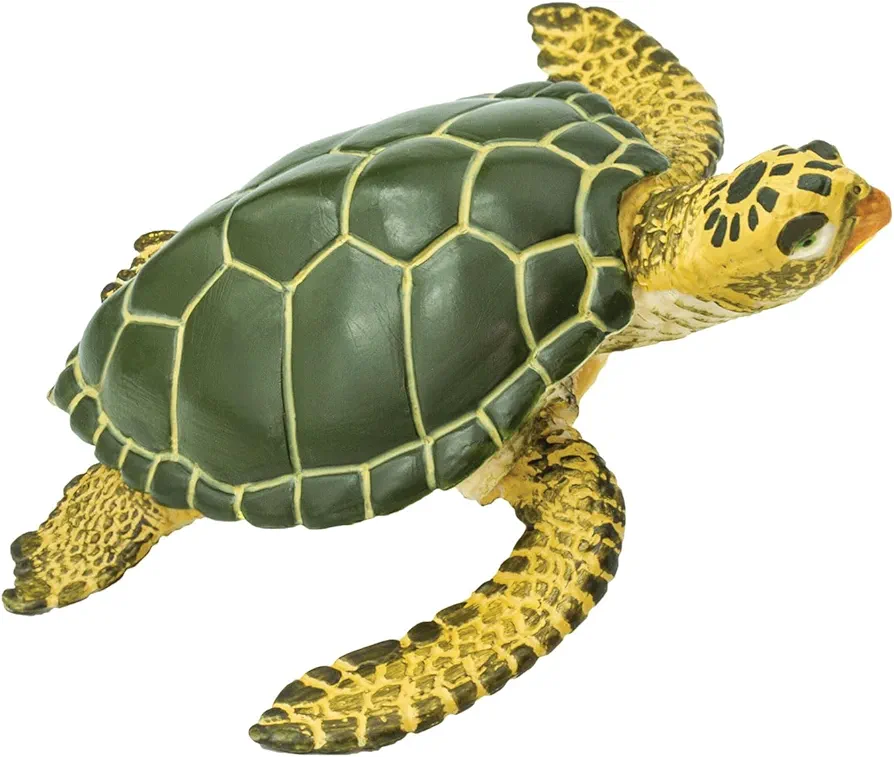 Safari Ltd. Green Sea Turtle Figurine - Detailed 3.58" Plastic Model Figure - Fun Educational Play Toy for Boys, Girls & Kids Ages 3+