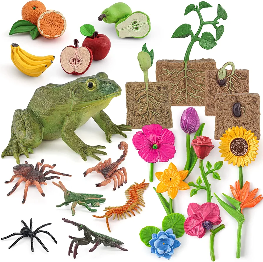 Atralo Service Life Cycle Model Figure Playsets 23 PCS Plant Growth Cycle Bullfrog Fruit Insect Plastic Flower Toys Desktop Decoration Collection Party Favors Toys for Boys Girls Kids