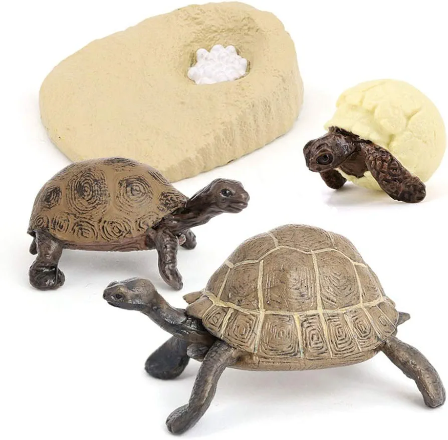 4PCS Elephant Tortoise Animal Life Cycle,Insect Growth Cycle Model,Hand Painting Animal Figures,Educational Toy,Cake Toppers Christmas Birthday Gift for Kids Todllers (Elephant Tortoise)