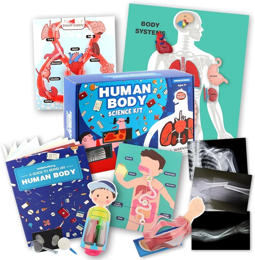 Human Body Activities & Experiments Science Kit for Kids,Human Anatomy Body Parts with Broken Bones X Ray,Lung Breathing Model, Vessels, Digestive System,Muscles Model,Skeleton,Human Organ STEM 5+