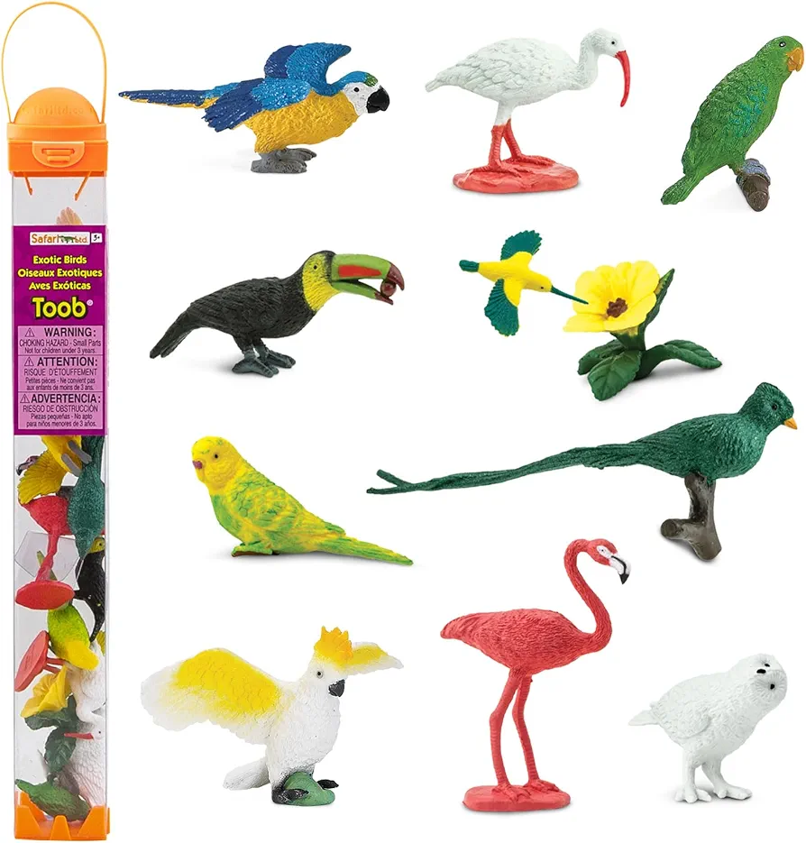 Safari Ltd. Exotic Birds TOOB - 10 Figurines: Parakeet, Quetzal, Macaw, Hummingbird, Toucan, Cockatoo, Flamingo, Snowy Owl, Parrot - Educational Toy Figures For Boys, Girls & Kids Ages 3+