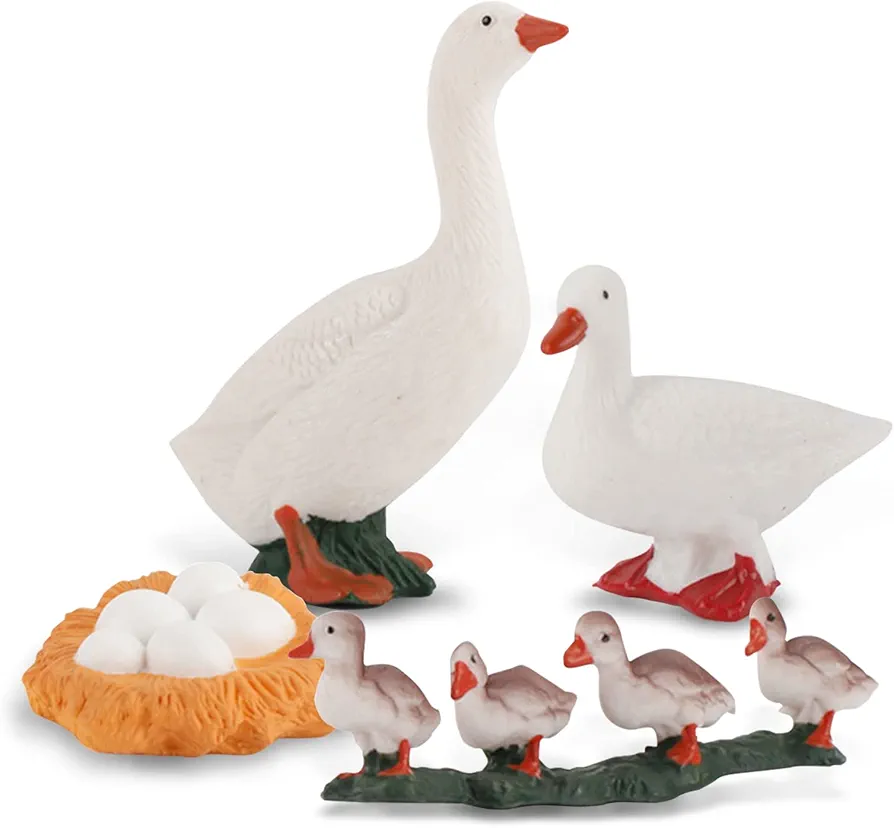 Life Cycle of Duck Figurines Animals Figurines Set Duck Toys Realistic Farm Animals Preschool Animals Figures Eduactional Project Diorama Model Toy for Kids