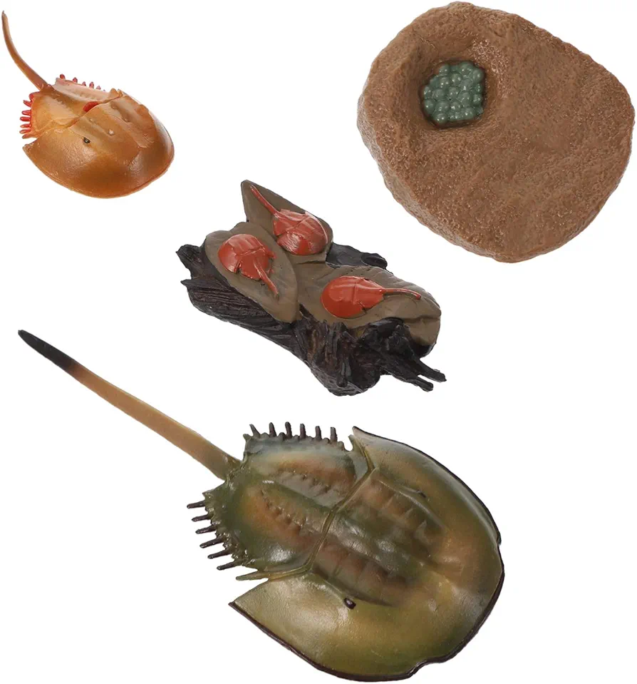 Zerodeko Horseshoe Crab Simulated Sea Life Animals Figurines Realistic Sea Creature Model Action Figure for Collection 1 Set