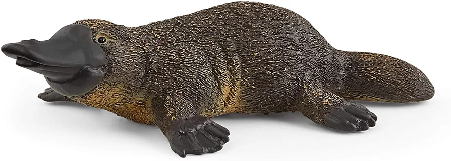 Schleich Wild Life, Animal Figurine, Animal Toys for Boys and Girls 3-8 years old, Platypus, Ages 3+