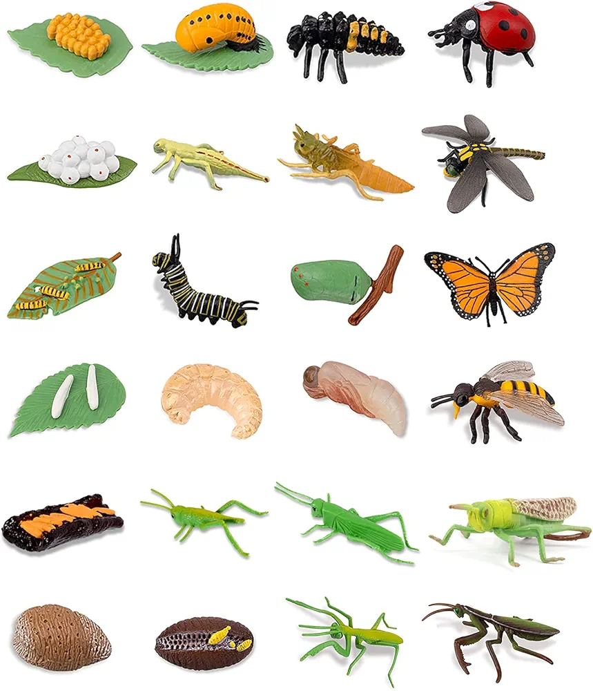 24PCS Life Cycle Figures,Insect Figurines Life Cycle of Monarch Butterfly,Honey Bee,Ladybug,Praying mantis,Dragonfly,Grasshopper Safariology Bug Figures Kits Educational School Project