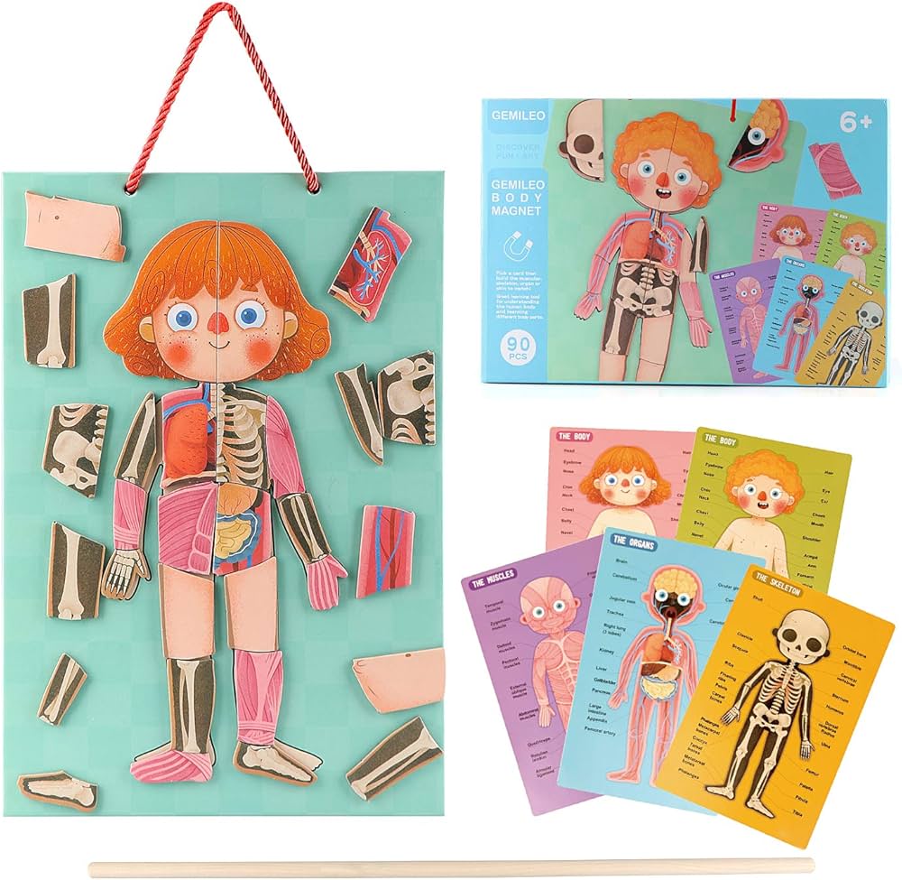 Human Body Puzzle for Kids Toddlers 90PCS Magnetic Boy Girl Anatomy Play Set Body Parts Organs Muscles Skeleton and Bones Wooden Puzzle Toys Aged 3+ Educational Learning Preschool Toys