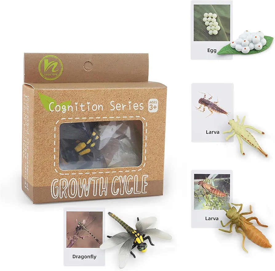 Montessori Life Cycle Animal Figurines Learning & Education Toys, Plastic Insect Life Cycle Toys for Kids, Preschool Learning Activities for Toddlers (Dragonfly)