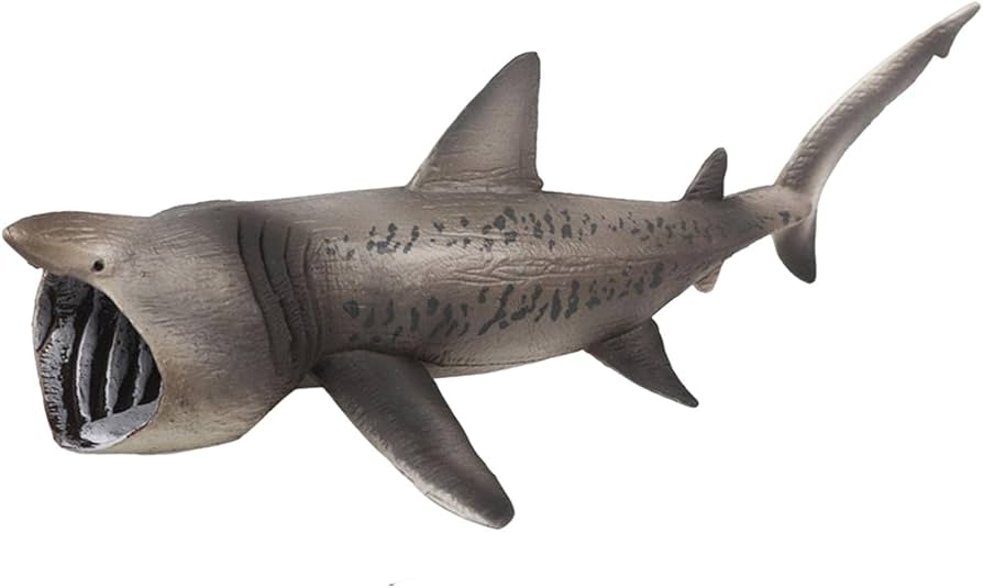 Realistic Marine Figures Toy,Marine Animal Model Toy,Marine Animal Figurines Toy,Basking Sharks Model for Playing