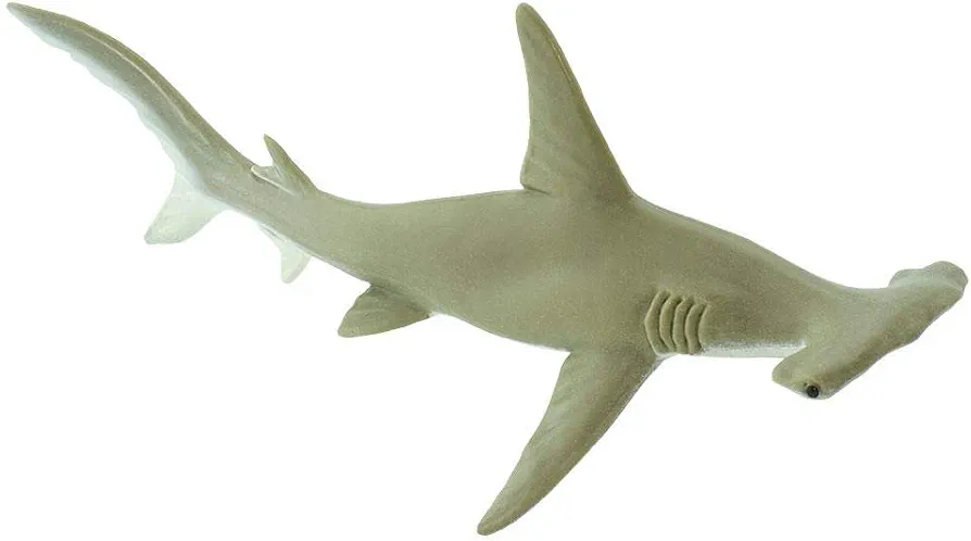 Safari Ltd. Hammerhead Shark Figurine - Detailed 6.5" Plastic Model Figure - Fun Educational Play Toy for Boys, Girls & Kids Ages 1+