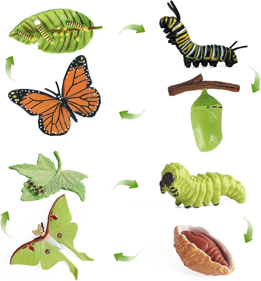 SIENON 4pcs Butterfly Life Cycle Toy Figurines and 4pcs Actias Ningpoana Figure-Plastic Caterpillar to Monarch Butterfly Growth Cycle Toy Insect Figures Teaching Tools School Project for Kids