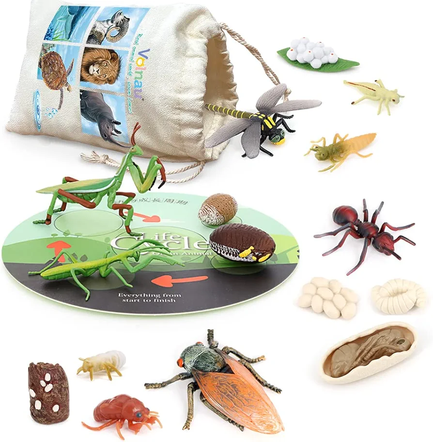 Volnau Animal Figurines Toys 16PCS Life Cycle Figure Set for Toddlers Kids Dragonfly Mantis Ant Cicada Decorations Preschool Educational Prop