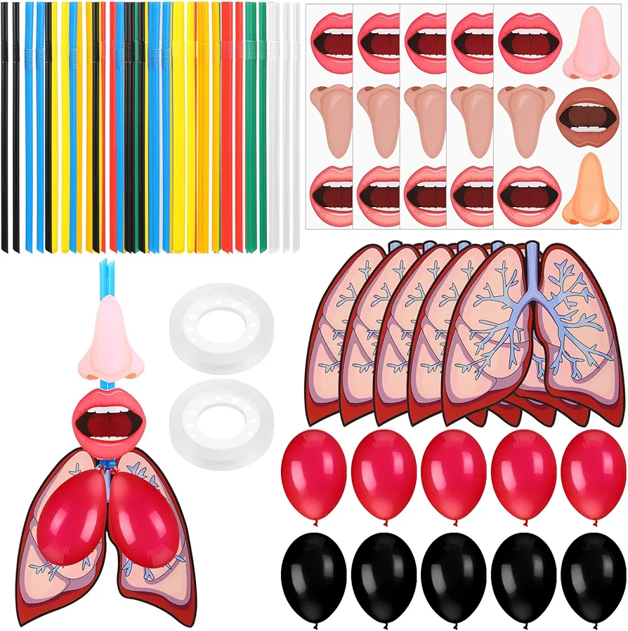 48 Sets Lung Model Respiratory System Model Toys for Back to School Science Classroom Study Display Teaching Biologic Anatomy and Lung Learning Homeschool Preschool Early Childhood Teaching