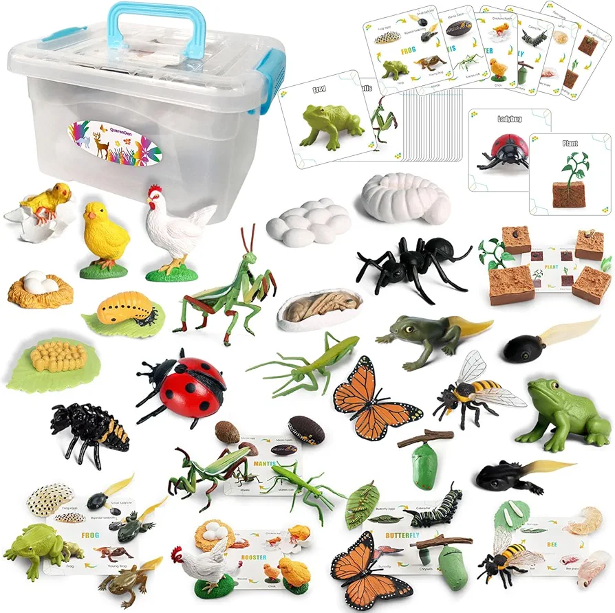 Life Cycle Toys, 33 PCS, Learning & Educational Toys, Realistic Figurine Toys, Preschool Learning Activities, Animals Figures Set, Animal Toys Figurines for Age 3+ Boy and Girl