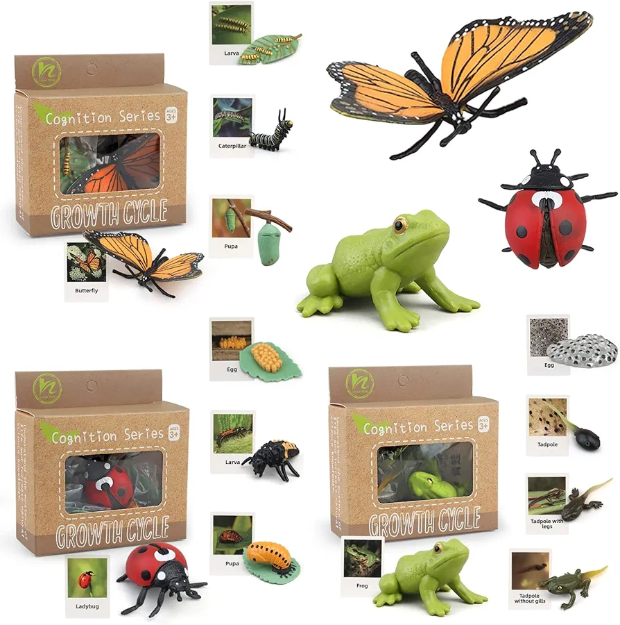 Montessori Life Cycle Learning & Education Toys, Plastic Insect Ladybug Monarch Butterfly Tadpole to Frog Kit Life Cycle Toys for Kids, Preschool Learning Activities for Toddlers