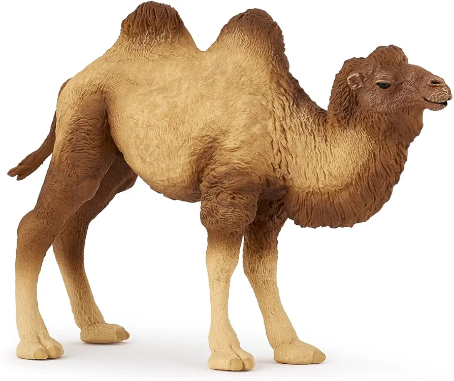 Papo -hand-painted - figurine -Wild animal kingdom - Bactrian Camel -50129 -Collectible - For Children - Suitable for Boys and Girls- From 3 years old