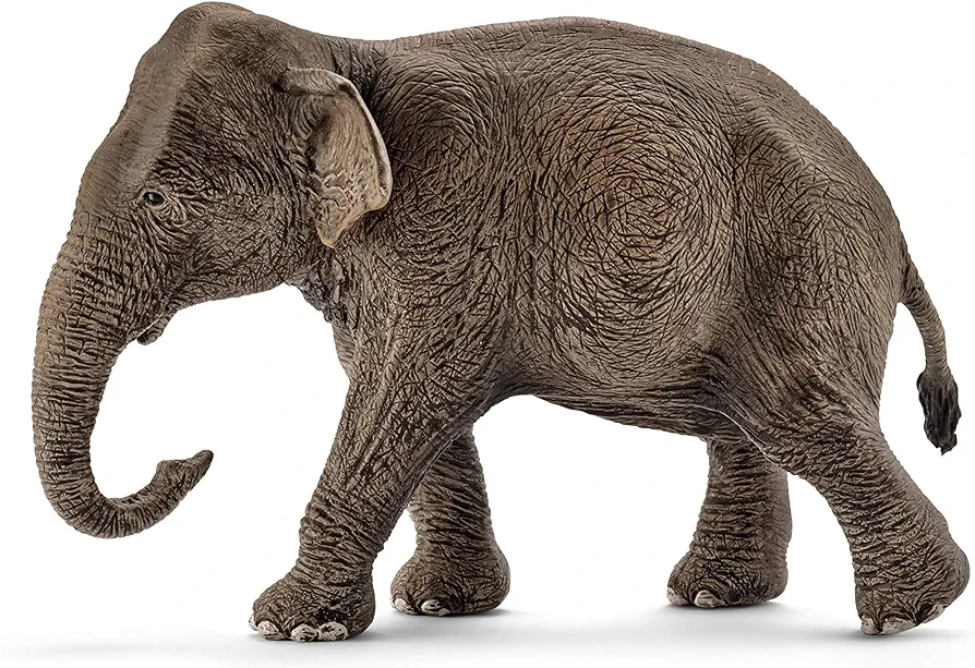 Schleich Wild Life, Realistic Wild Animal Toys for Boys and Girls, Female Asian Elephant Toy Figurine, Ages 3+