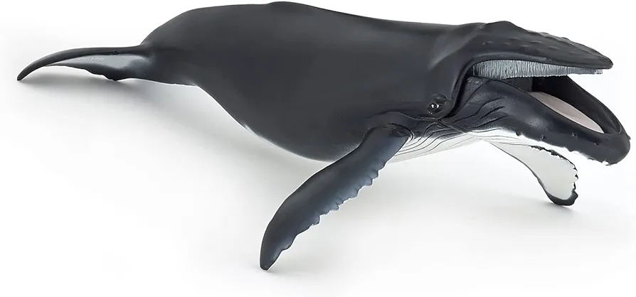 Papo - hand-painted - figurine - Marine Life - Humpback Whale Figure-56001 - Collectible - for Children - Suitable for Boys and Girls - from 3 years old