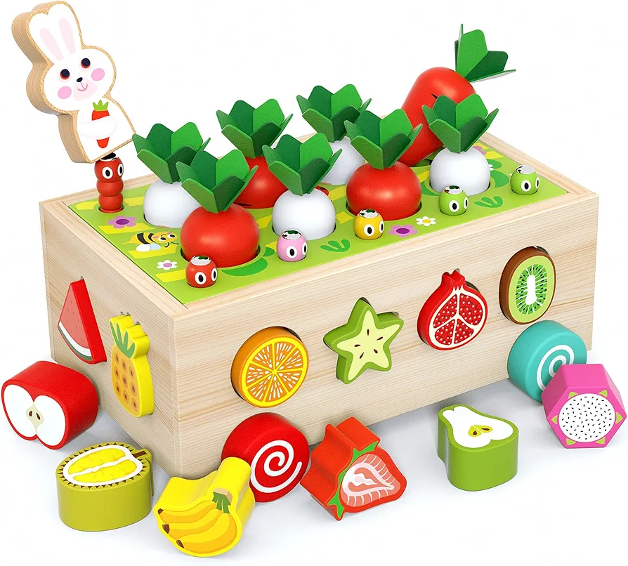 Toddler Montessori Toys Educational Wooden Toys for Baby Boys Girls Age 1 2 3 Years Old Sensory toys Gift for Kids Birthday Preschool Learning Game