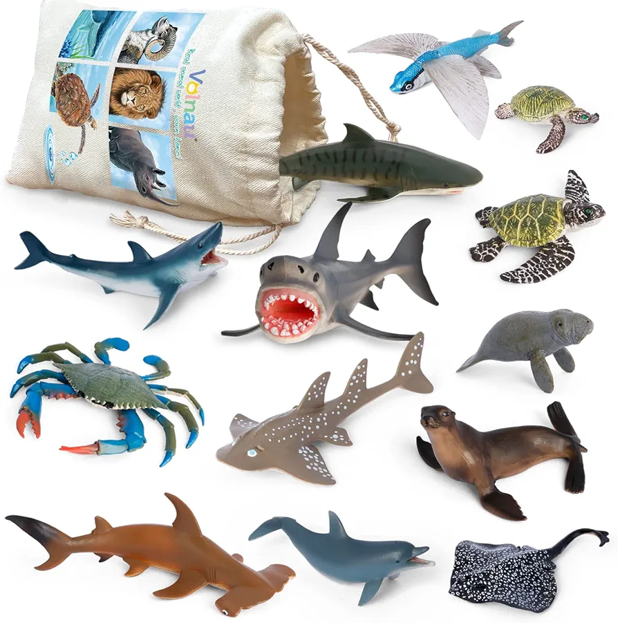 Volnau Sea Creature Toys Figures 13PCS Atlantic Ocean Shark Animals Figurines for Toddlers Kids Christmas Decoration Gift Plastic Fish Preschool Pack and Bath Set