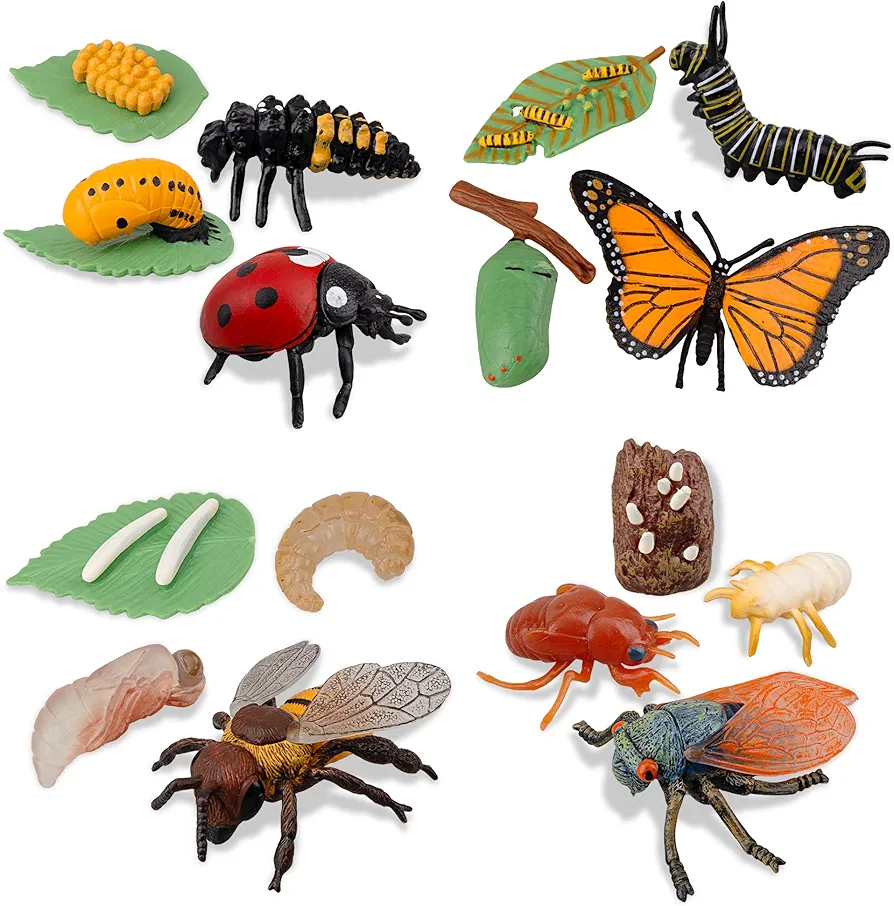 Toymany 16PCS Insect Figurines Life Cycle of Monarch Butterfly,Honey Bee,Cicada,Ladybug, Plastic Caterpillars to Butterflies Bug Figures Toy Kit Educational School Project for Kids Toddlers