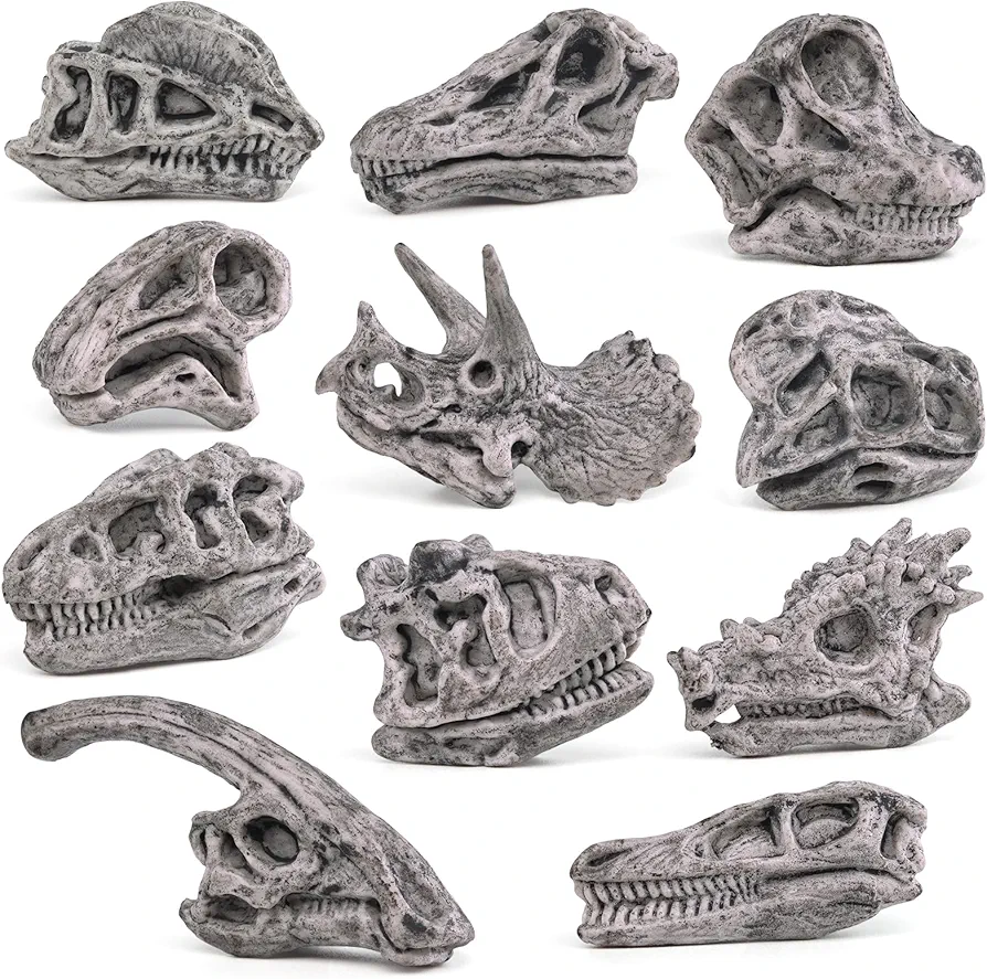 Fantarea Ancient Animal Dinosaur Head Skeleton Fossil Assorted Bones Playsets 11 PCS Action Figures Model Toys for Kids