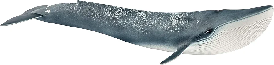 Schleich Wild Life Realistic Blue Whale Figurine - Authentic and Highly Detailed Aquatic Animal Toy, Durable for Education and Fun Play, Perfect for Boys and Girls, Ages 3+