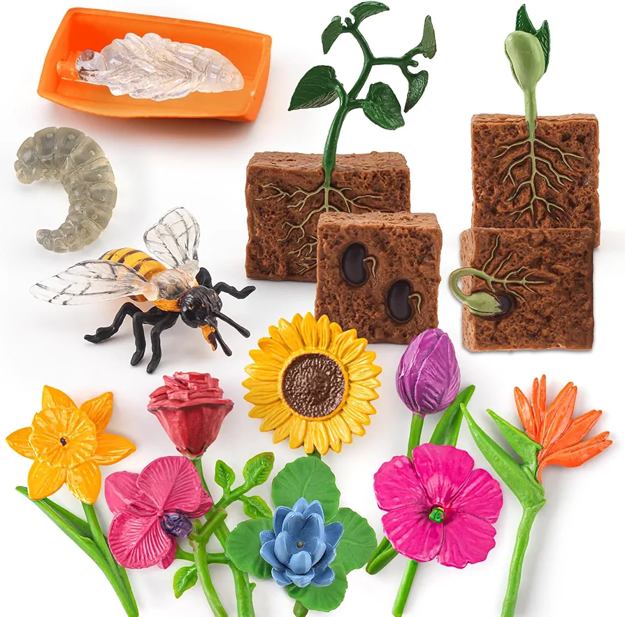 16PCS Life Cycle of Bee Figurines Plant Toy Flower Toys Set for Toddlers Age 3+ Educational Project Diorama Kids Toys for Preschool Children