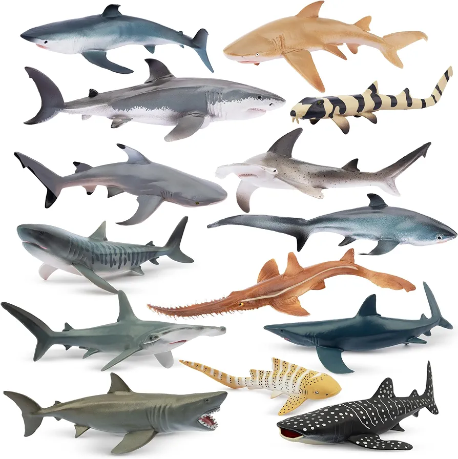 Toymany 14PCS Realistic Shark Toys Figurines for Kids