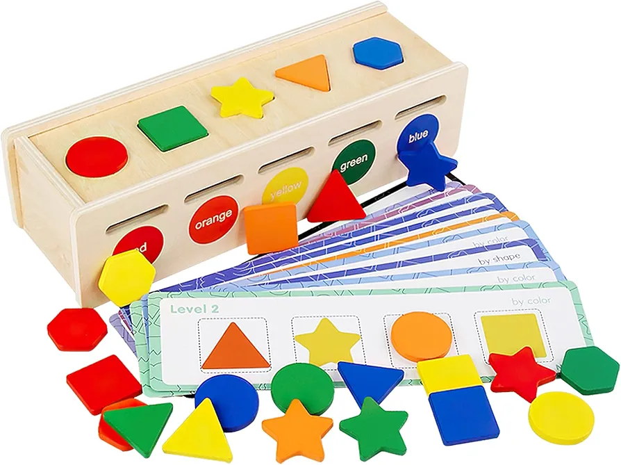 Wooden Color & Shape Sorting & Stacking Toys Matching Game, Montessori Toys for Toddler 1 2 3 Year Old, Learning & Education Toys, Preschool Learning Activities