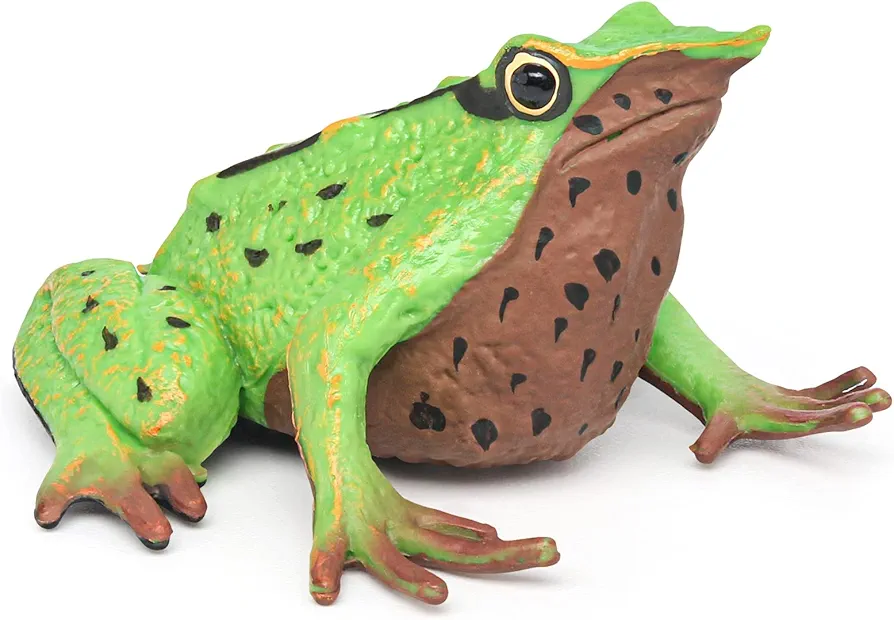 Fantarea Wildlife Animal Frog Model Darwin Frog Figure Toy for Boys Girls Kids 5 6 7 8 Year Old