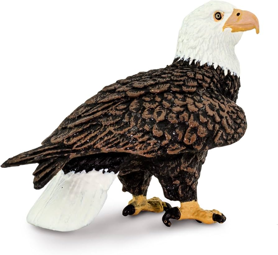 Safari Ltd. Bald Eagle Figurine - Realistic 2.4" Bird Figure - Educational Toy for Boys, Girls, and Kids Ages 3+